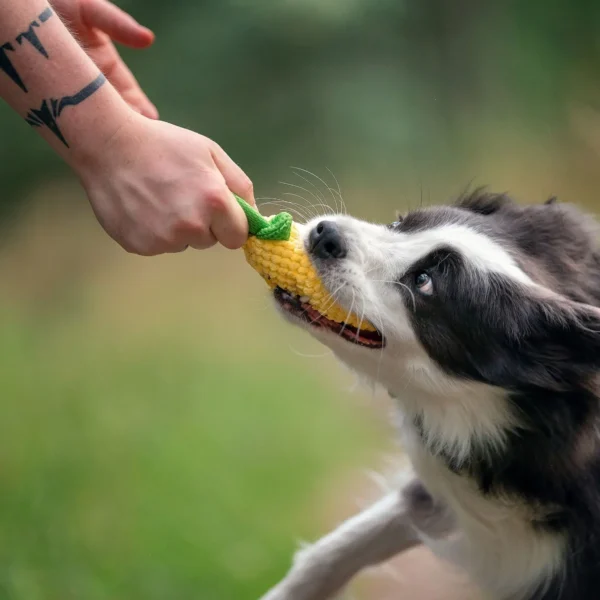 Pluszowa zabawka Ananas dla psa i pies ją gryzący